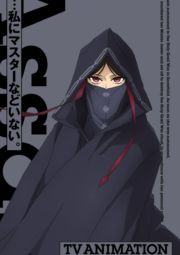 Fake Assassin (Beautiful Assassin)