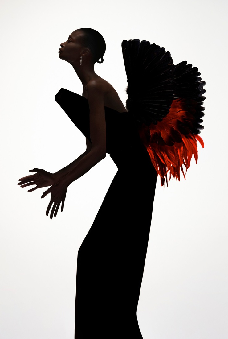 Debra Shaw