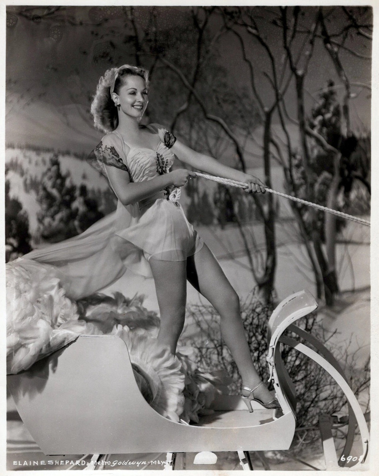 Elaine Shepard