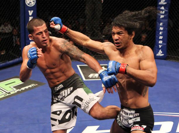 Anthony Pettis
