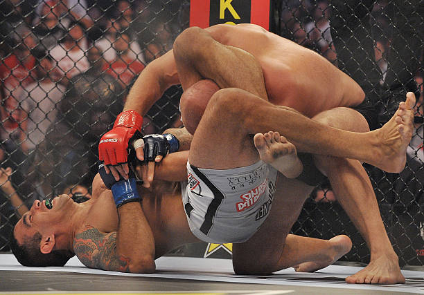 Fabricio Werdum