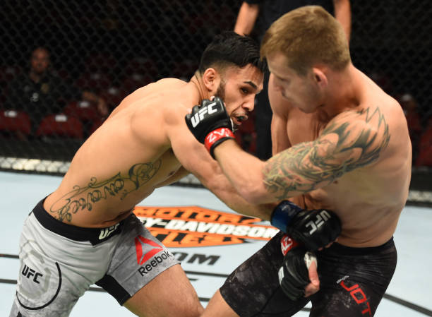 Brad Tavares