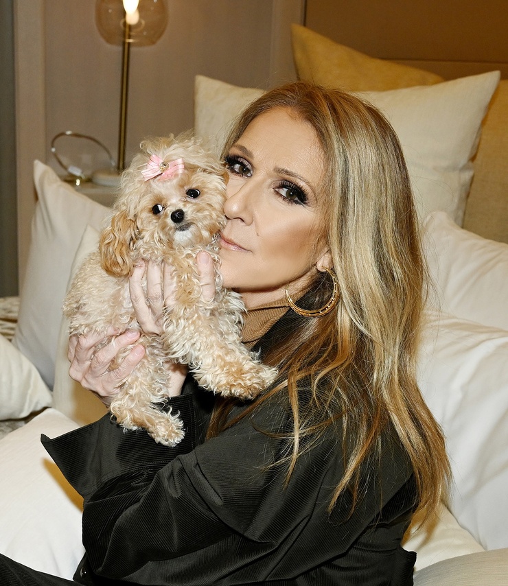Céline Dion
