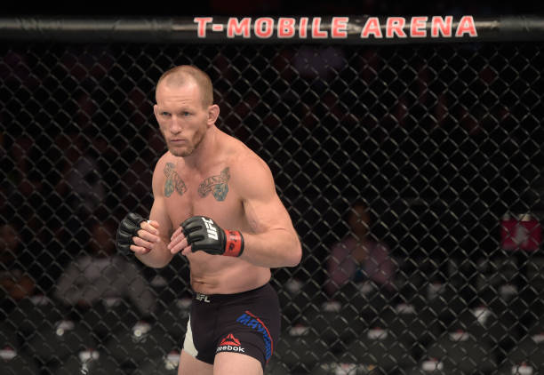 Gray Maynard