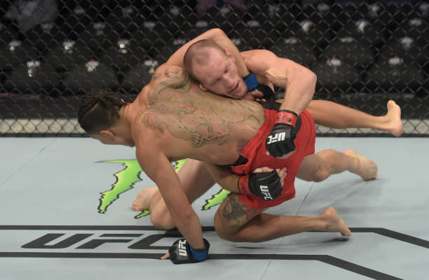 Gray Maynard