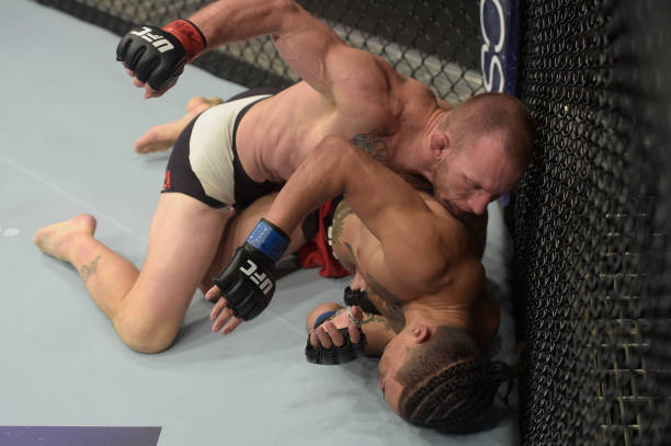 Gray Maynard