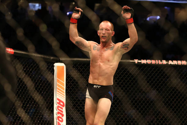 Gray Maynard