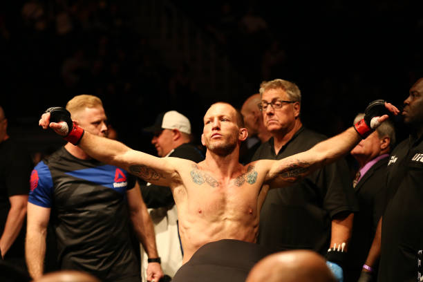 Gray Maynard