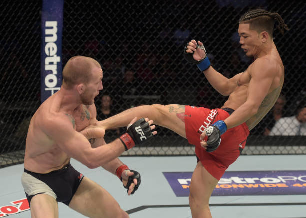 Gray Maynard