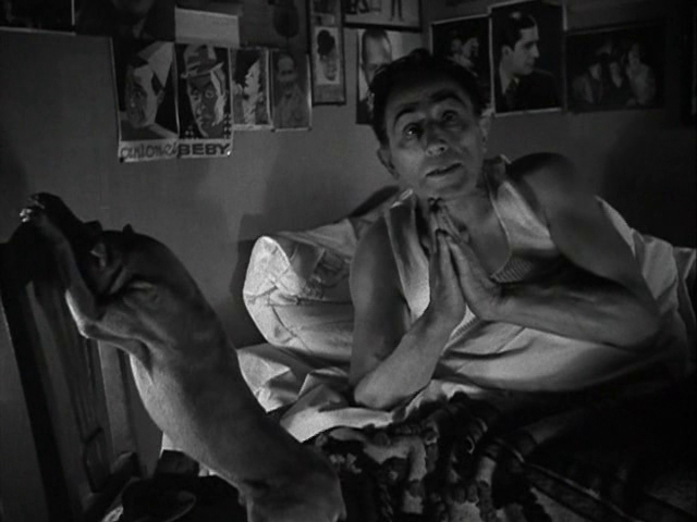 24 hours in the Life of a Clown