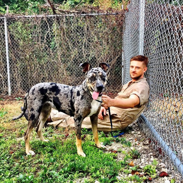 Boyd Holbrook