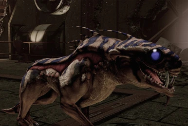Eezo the Varren