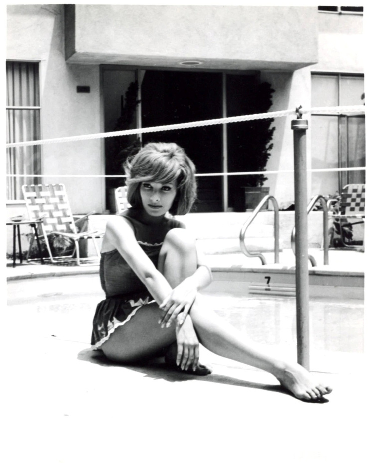 Dany Saval
