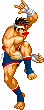 Real Bout Fatal Fury Specialリアルバウト餓狼がろう伝説でんせつスペシャル, lit. 