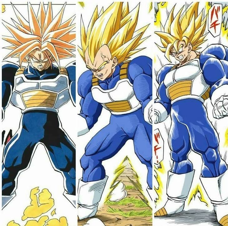 Trunks
