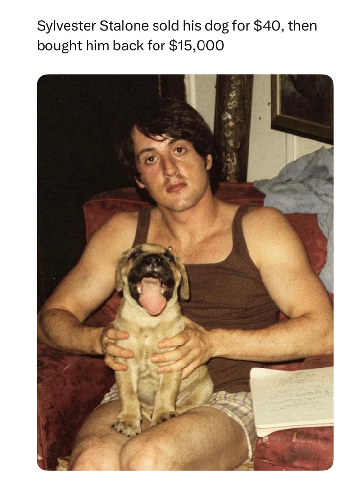 Sylvester Stallone