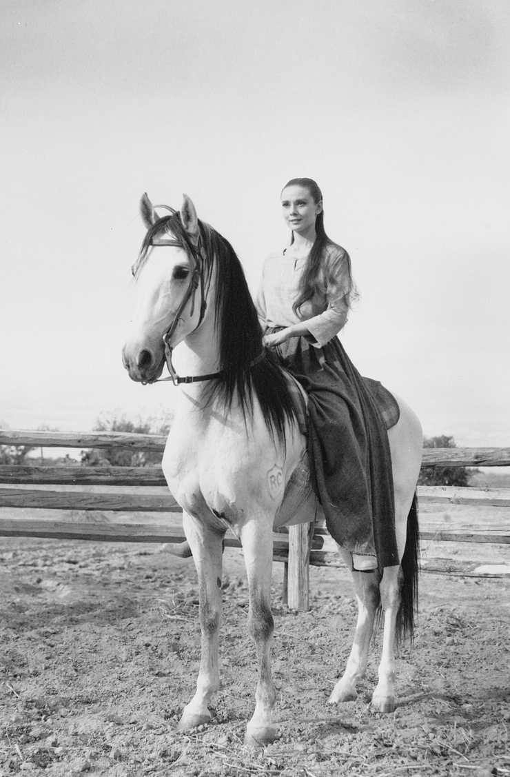 Audrey Hepburn Audrey Hepburn