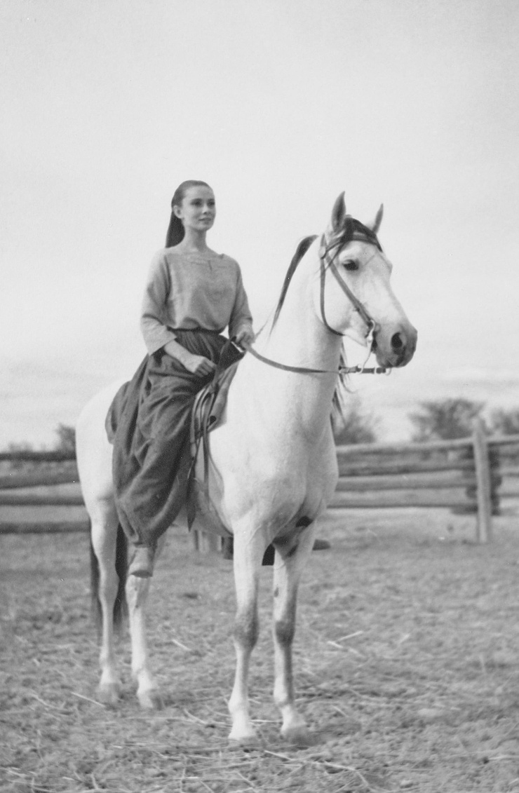 Audrey Hepburn Audrey Hepburn