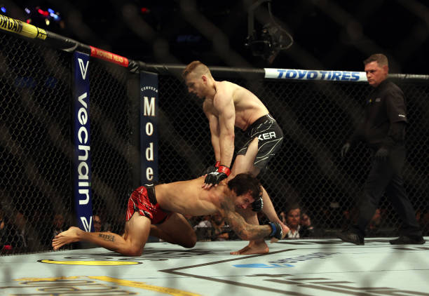 Dan Hooker