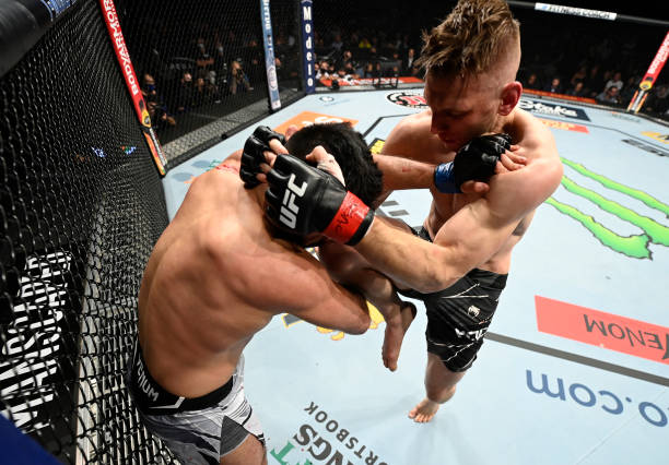 Dan Hooker