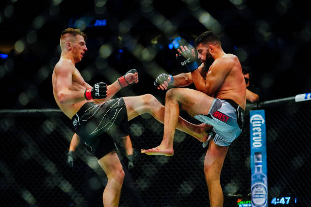 Dan Hooker