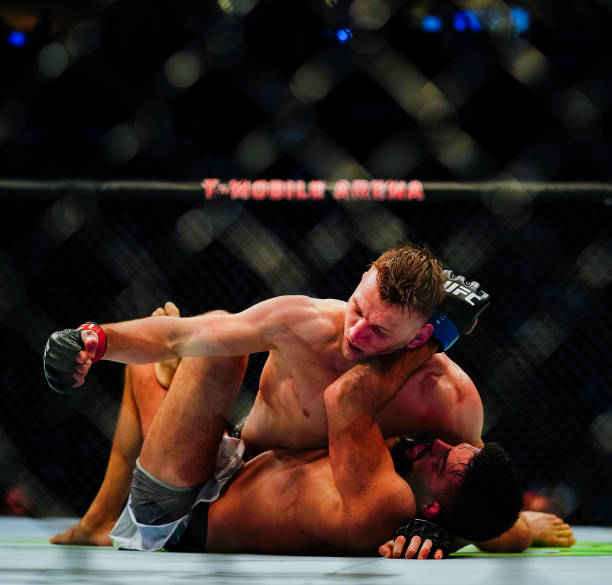 Dan Hooker