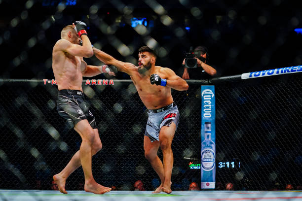 Dan Hooker