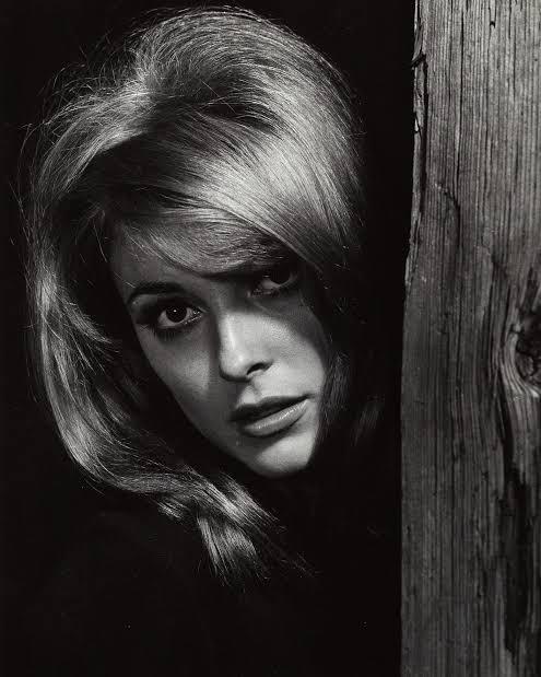 Sharon Tate