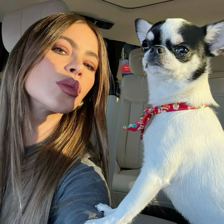 Sofía Vergara Sofía Vergara