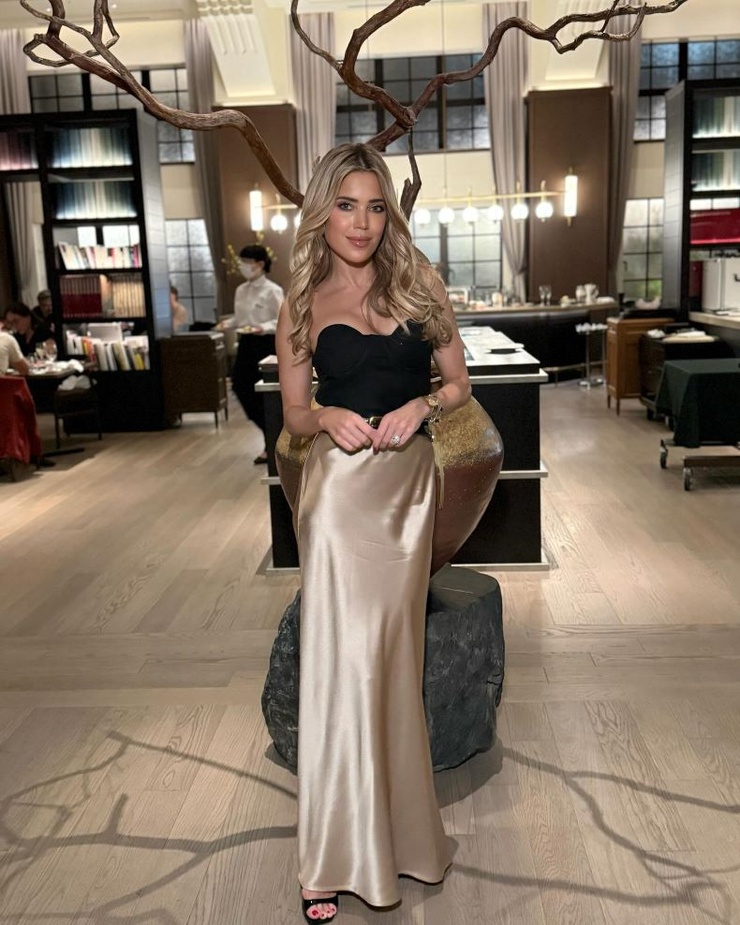 Sylvie Meis
