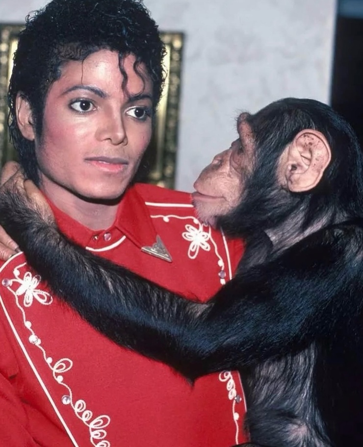 Michael Jackson
