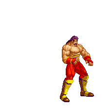 Wolfgang Krauser