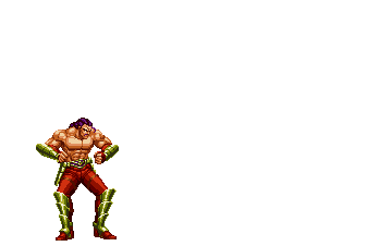 Wolfgang Krauser