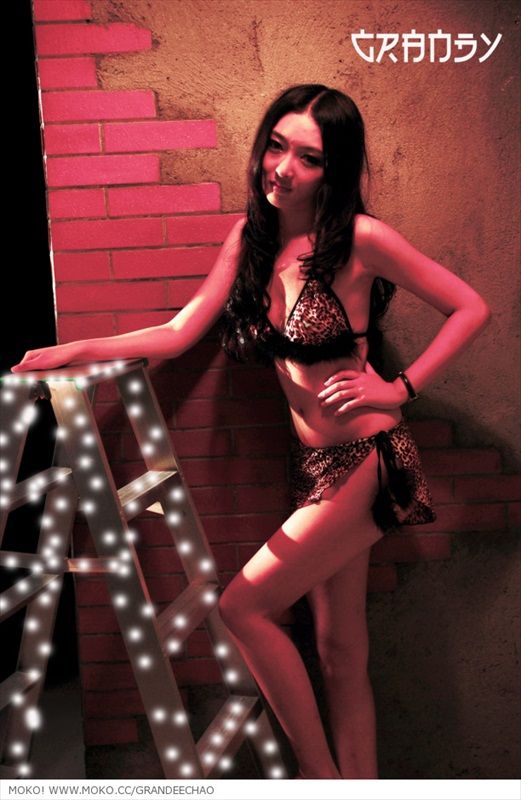 Chen Chao Zi