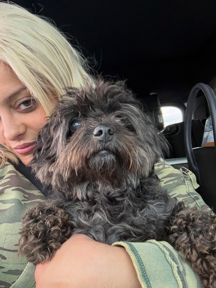 Bebe Rexha