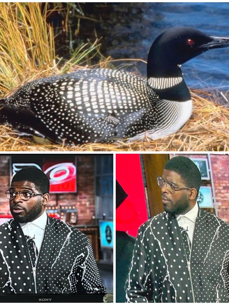 P.K. Subban
