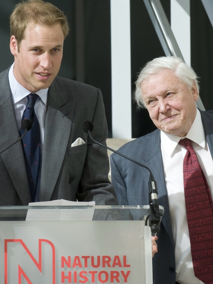 David Attenborough