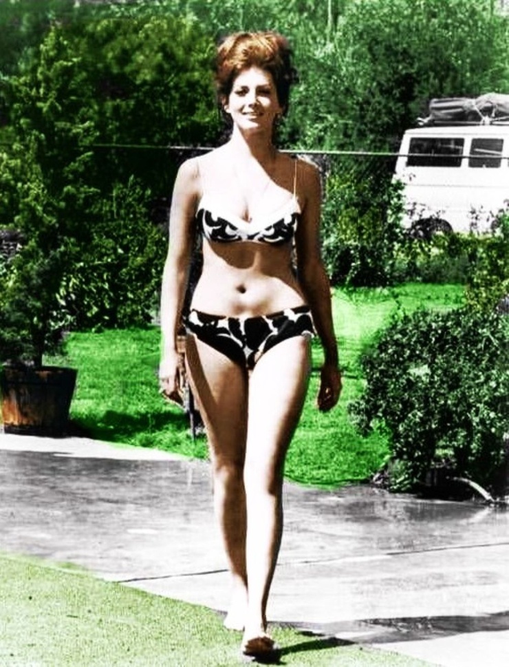 Gina Lollobrigida Gina Lollobrigida