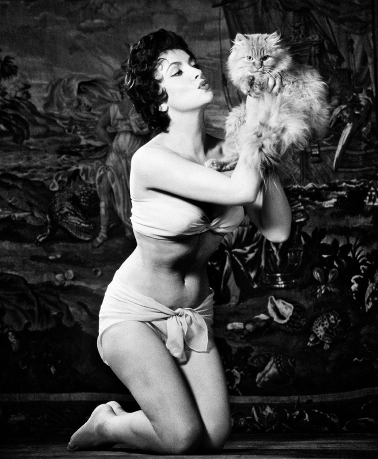 Gina Lollobrigida Gina Lollobrigida