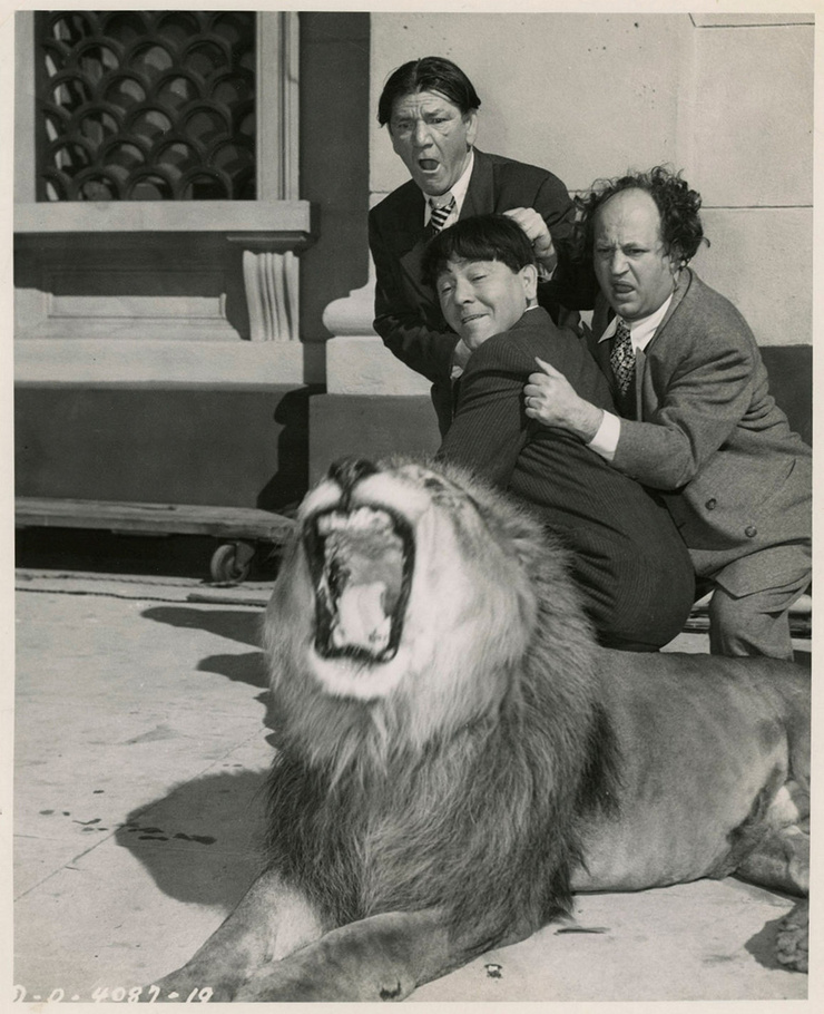 Shemp Howard