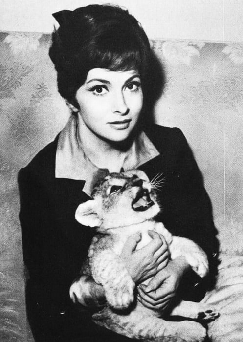 Gina Lollobrigida