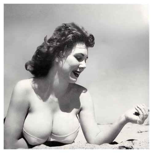 Meg Myles