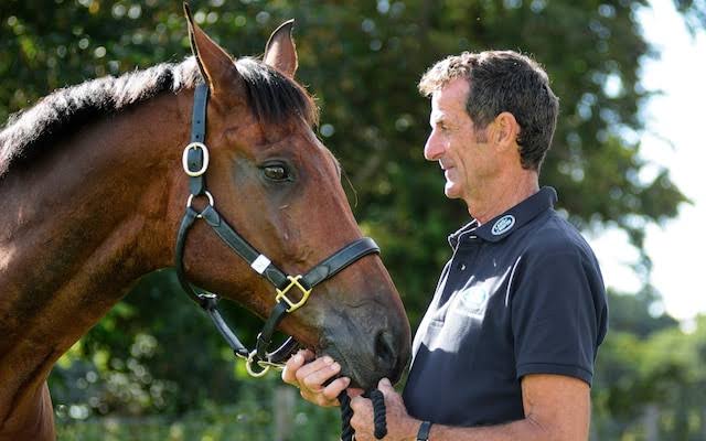 Mark Todd