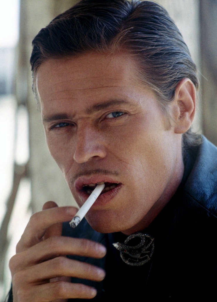 Wild at Heart Wild at Heart