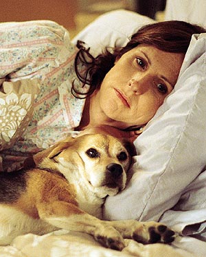 Molly Shannon Molly Shannon