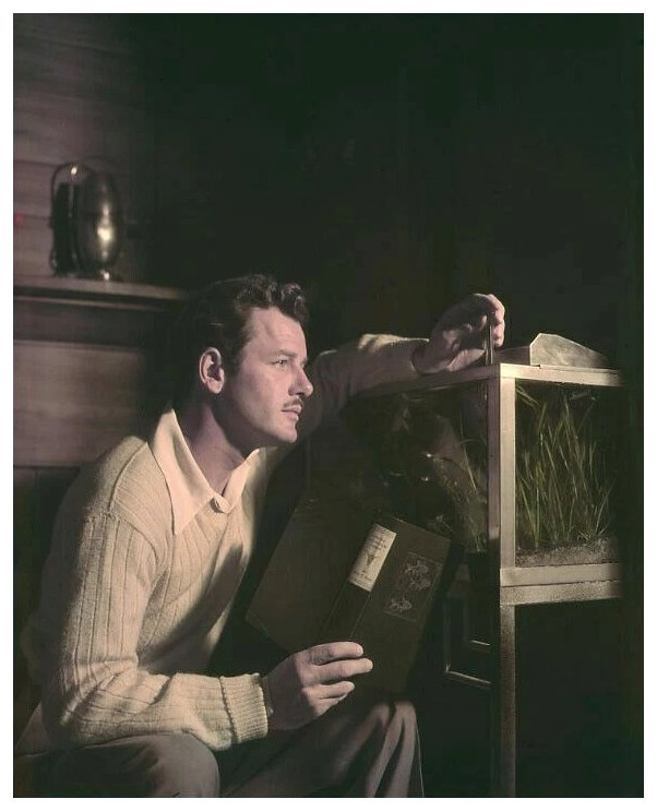 Gig Young
