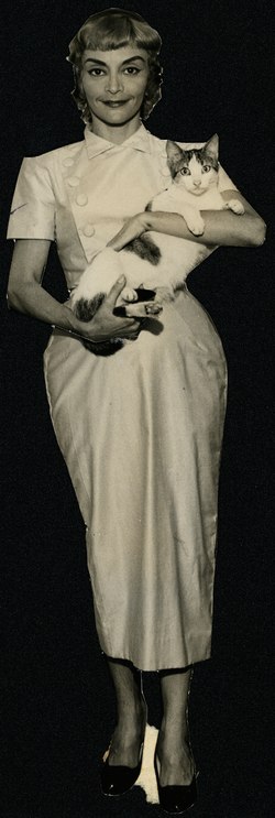 Zezé Macedo