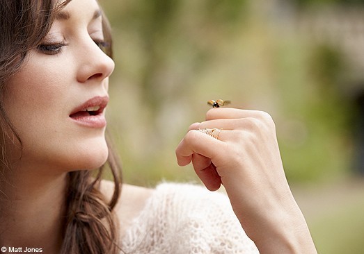 Marion Cotillard