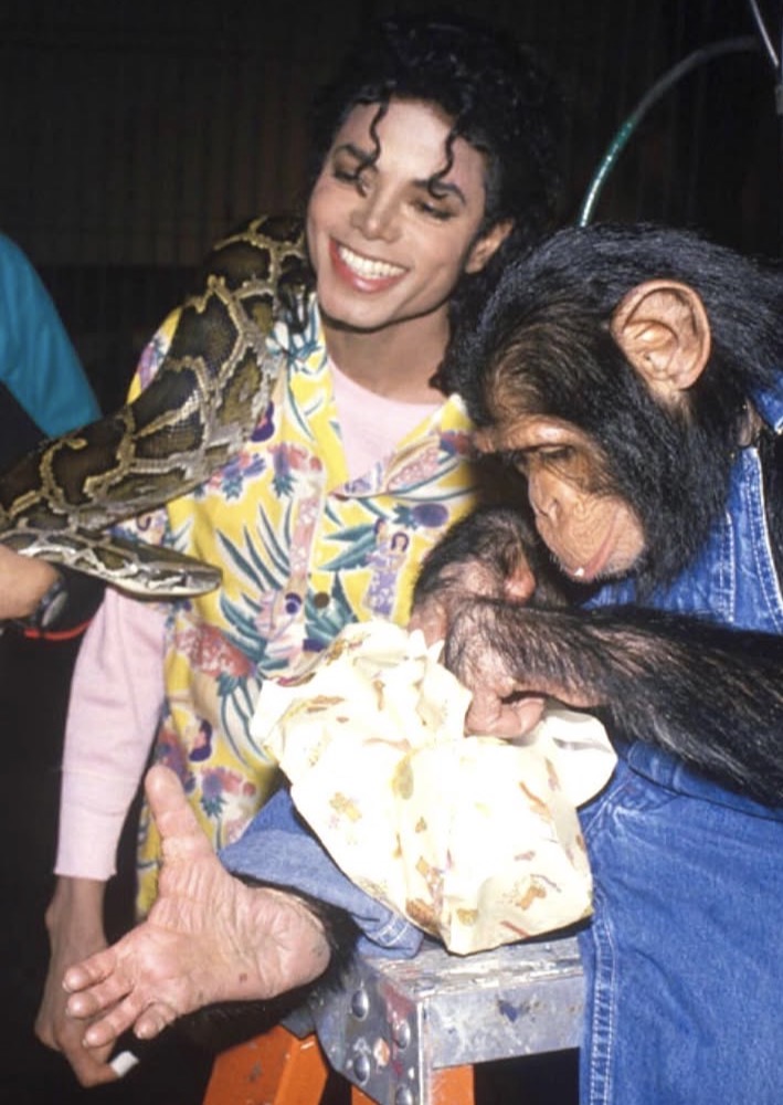 Michael Jackson
