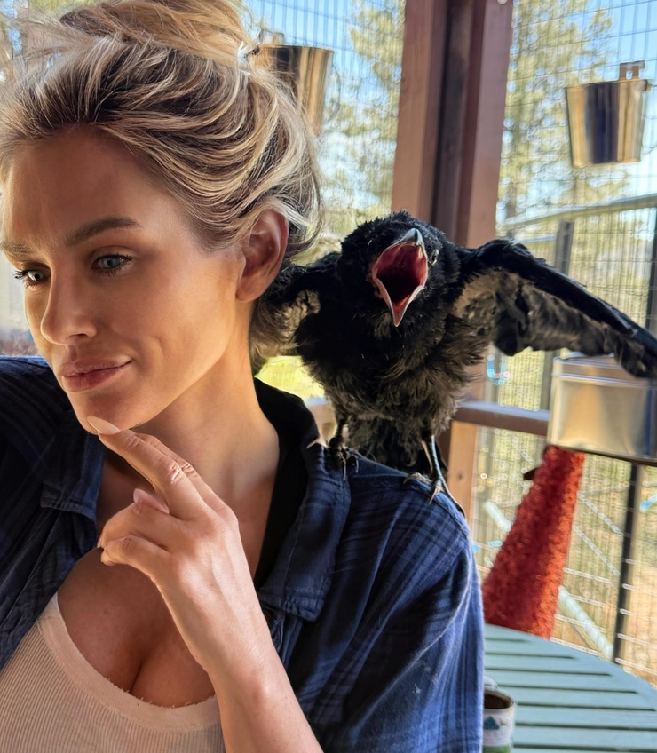 Nicky Whelan